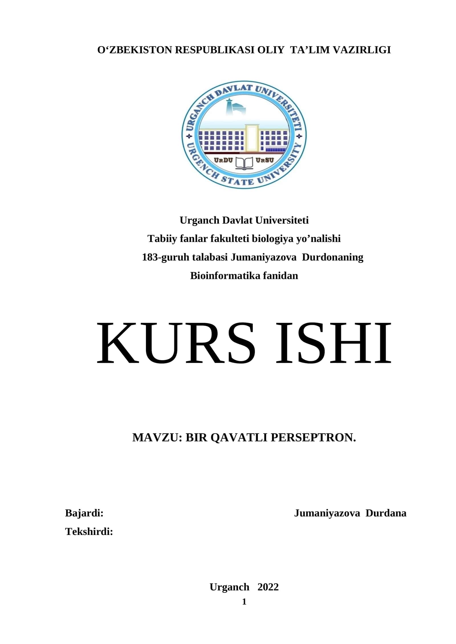 BIR QAVATLI PERSEPTRON 1