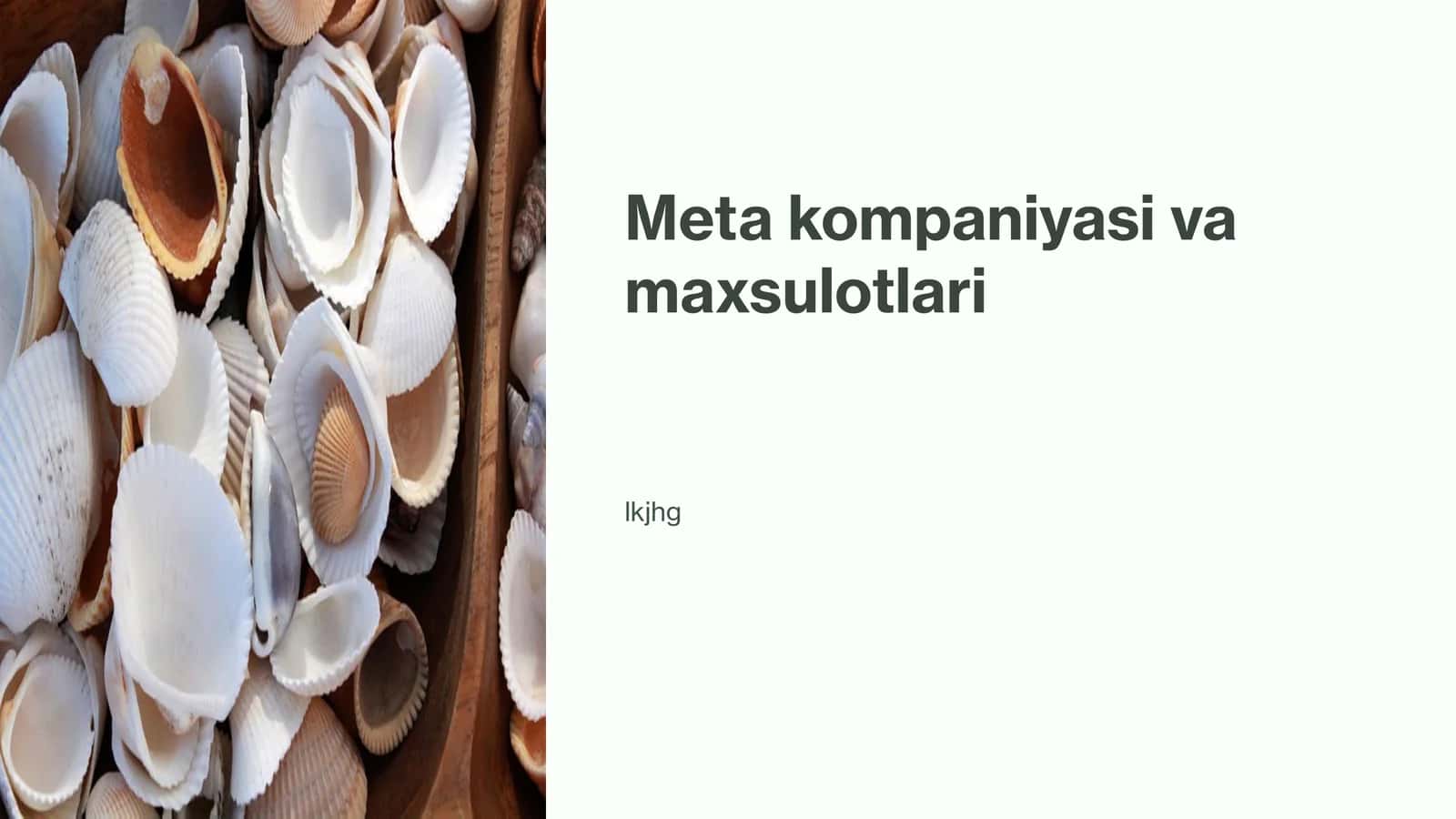 Meta kompaniyasi va maxsulotlari 1