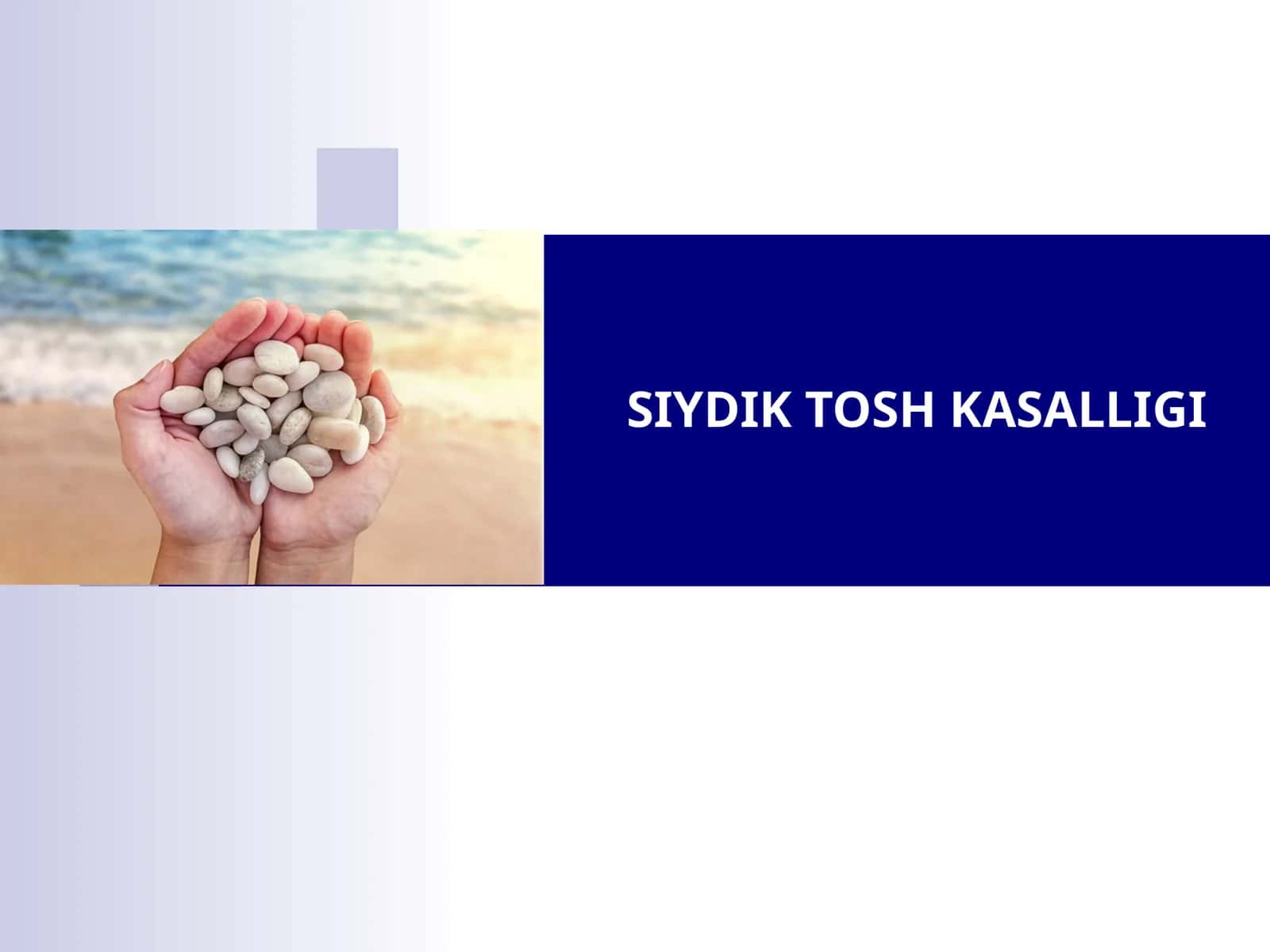 SIYDIK TOSH KASALLIGI 1
