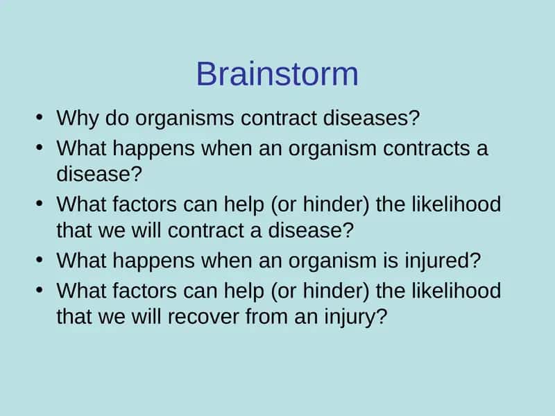 Brainstorm 1