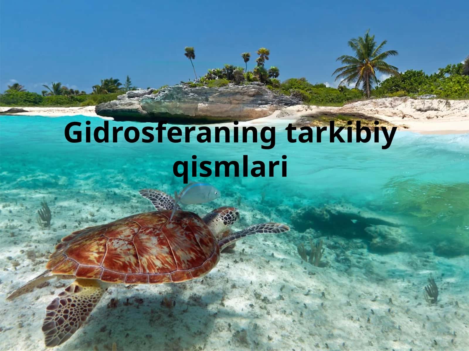 Gidrosferaning tarkibiy qismlari 1