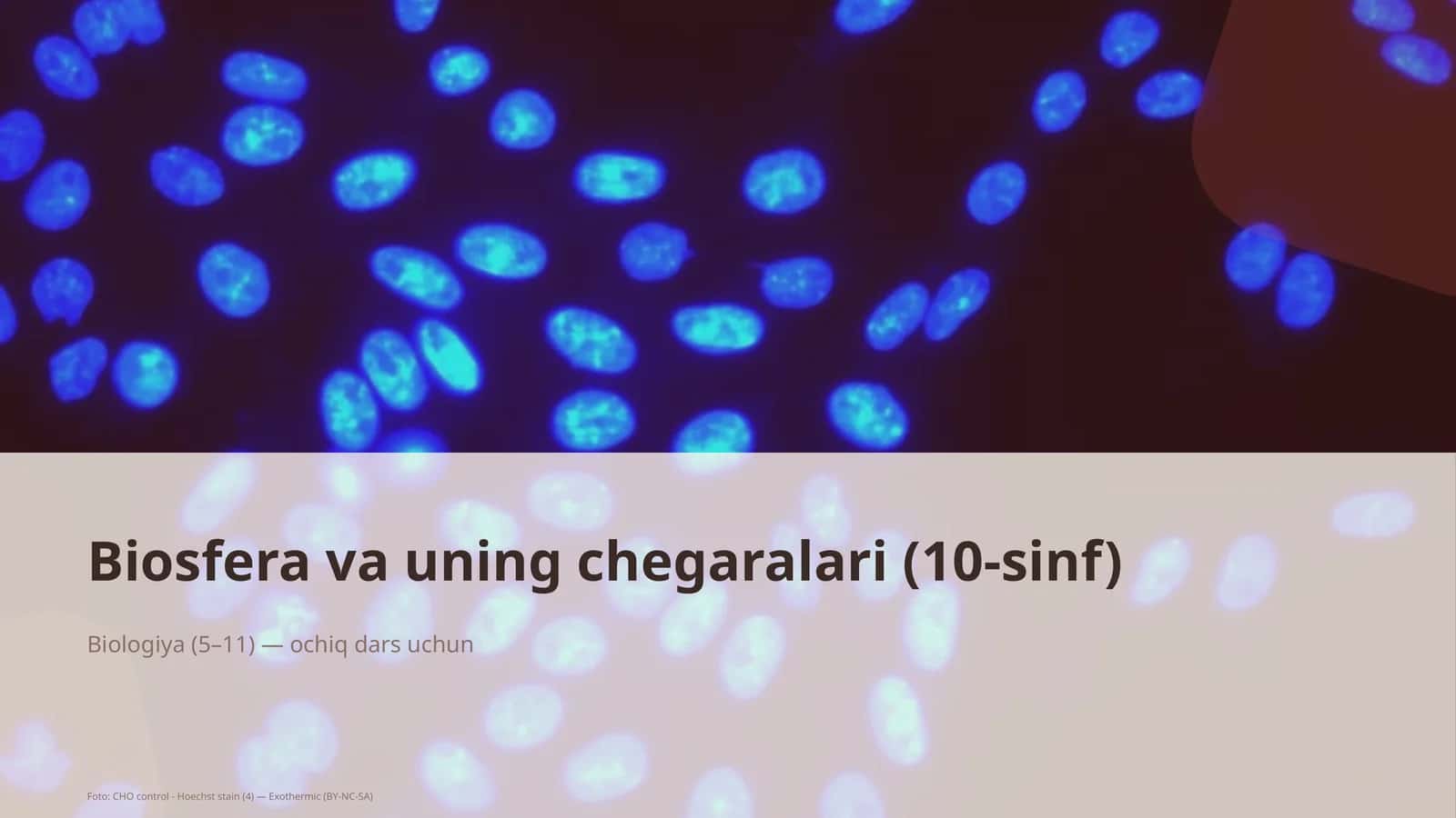 Biosfera va uning chegaralari (10-sinf) 1