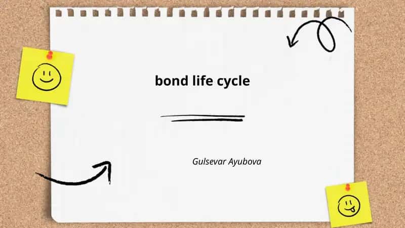 Bond Life Cycle 1