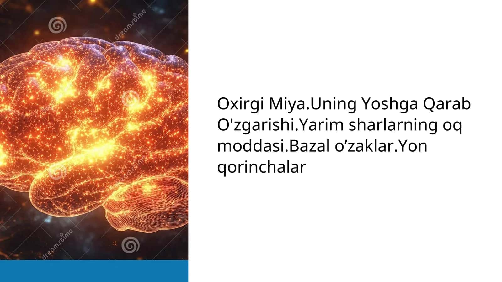 Oxirgi Miya 1