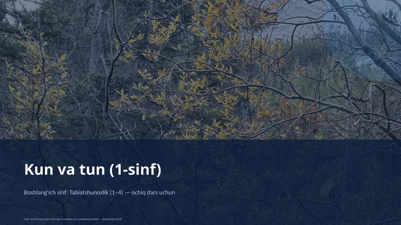 Kun va tun (1-sinf) 1