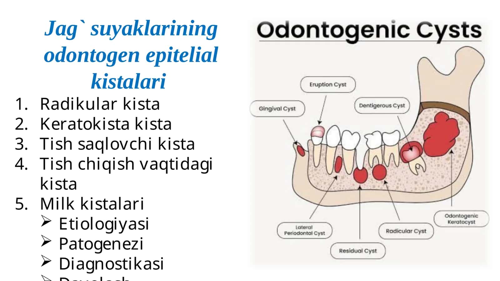 Jag` suyaklarining odontogen epitelial kistalari 1