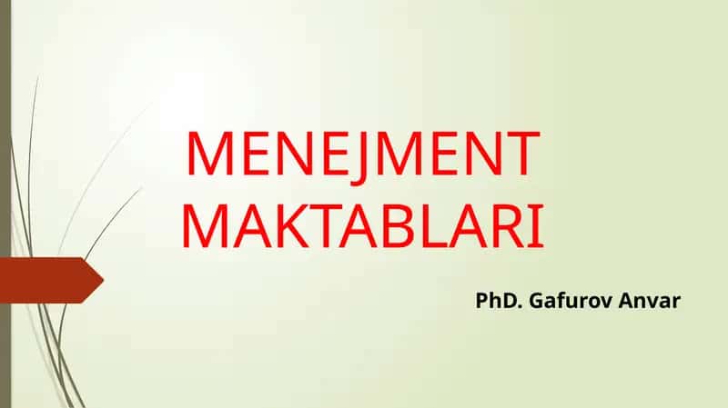 MENEJMENT MAKTABLARI 1