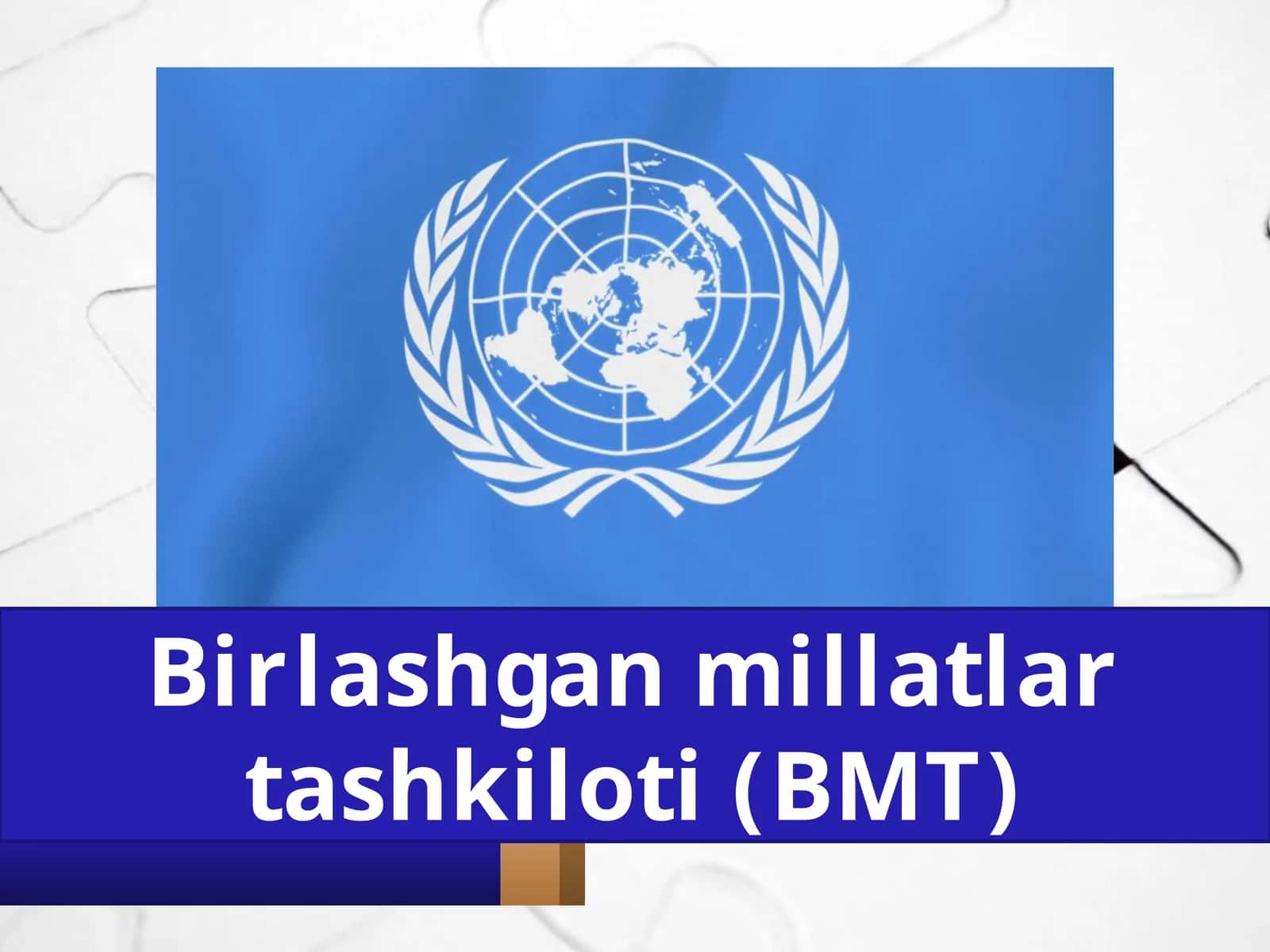 Birlashgan  millatlar  tashkiloti  (BMT) 1