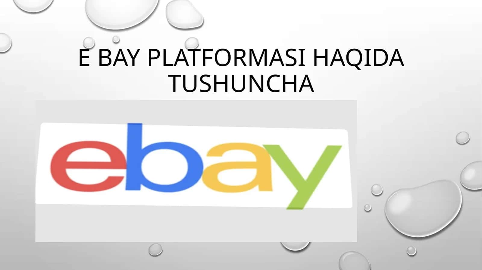 eBay Platformasi 1