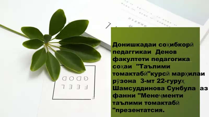 Идоракунии раванди педагогии дар мтт 1