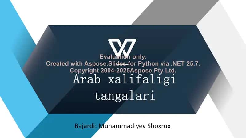 Arab xalifaligi tangalari 1