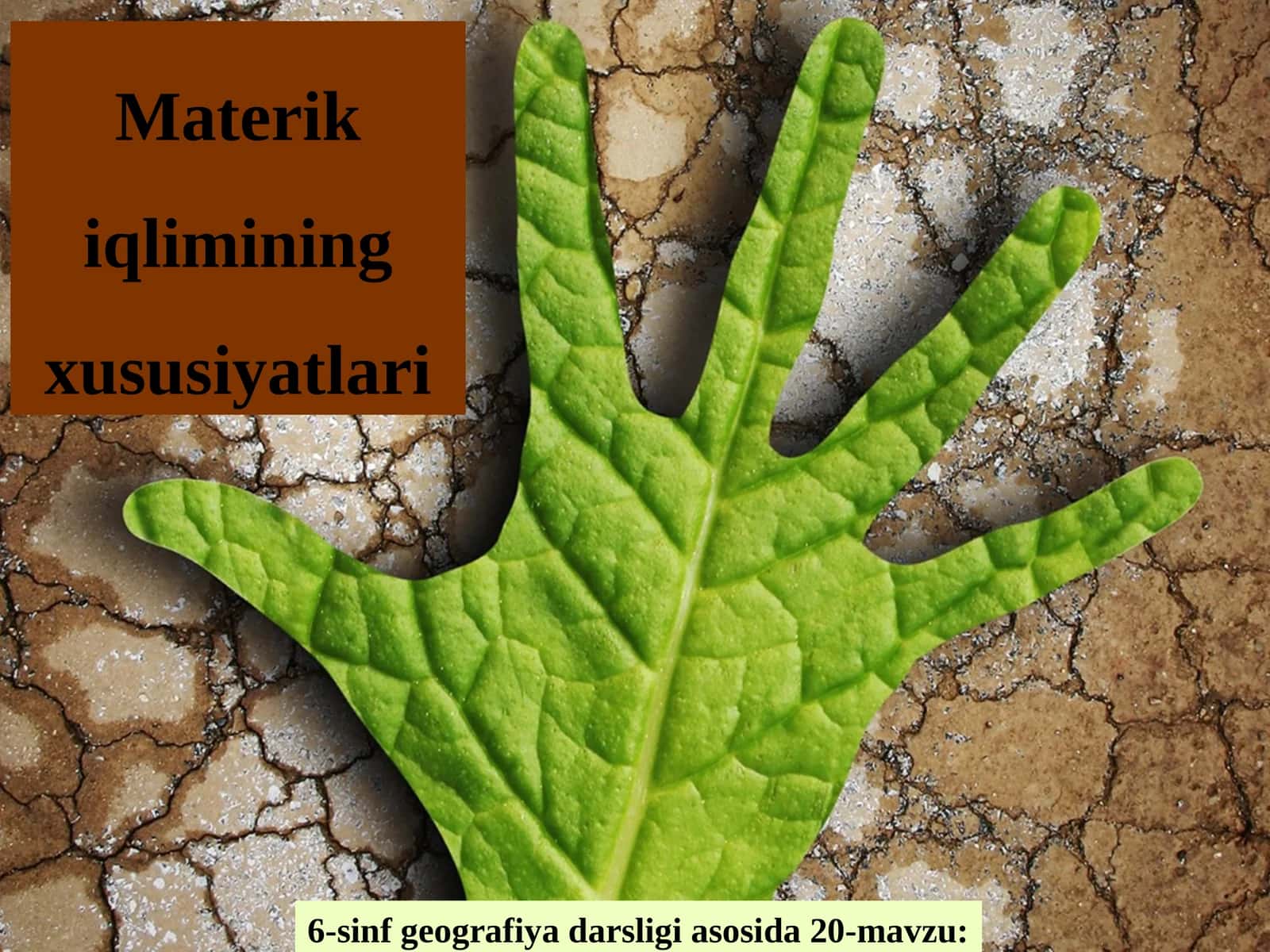 Materik iqlimining xususiyatlari 1
