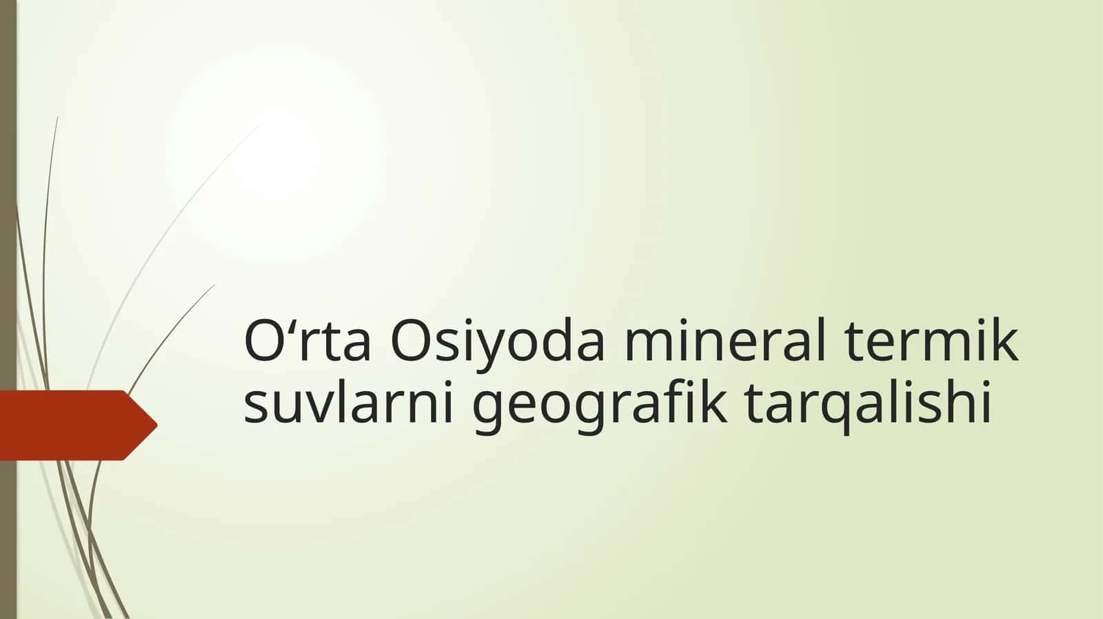 Mineral va Issiq Buloqlar 1