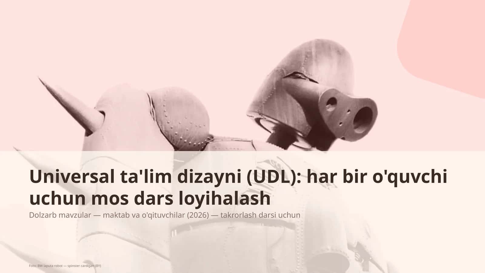 Universal ta'lim dizayni (UDL) 1