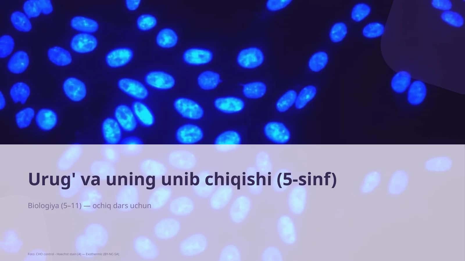 Urug' va unib chiqishi (5-sinf) 1