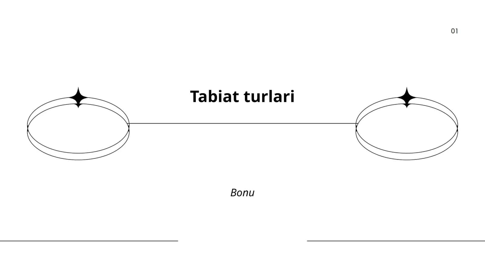 O'rmon ekotizimlari 1