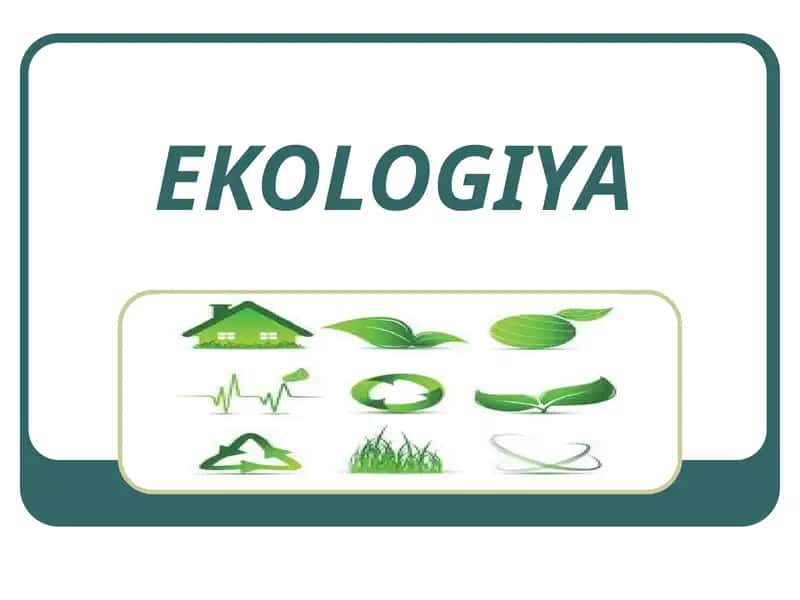 Ekologiya 1