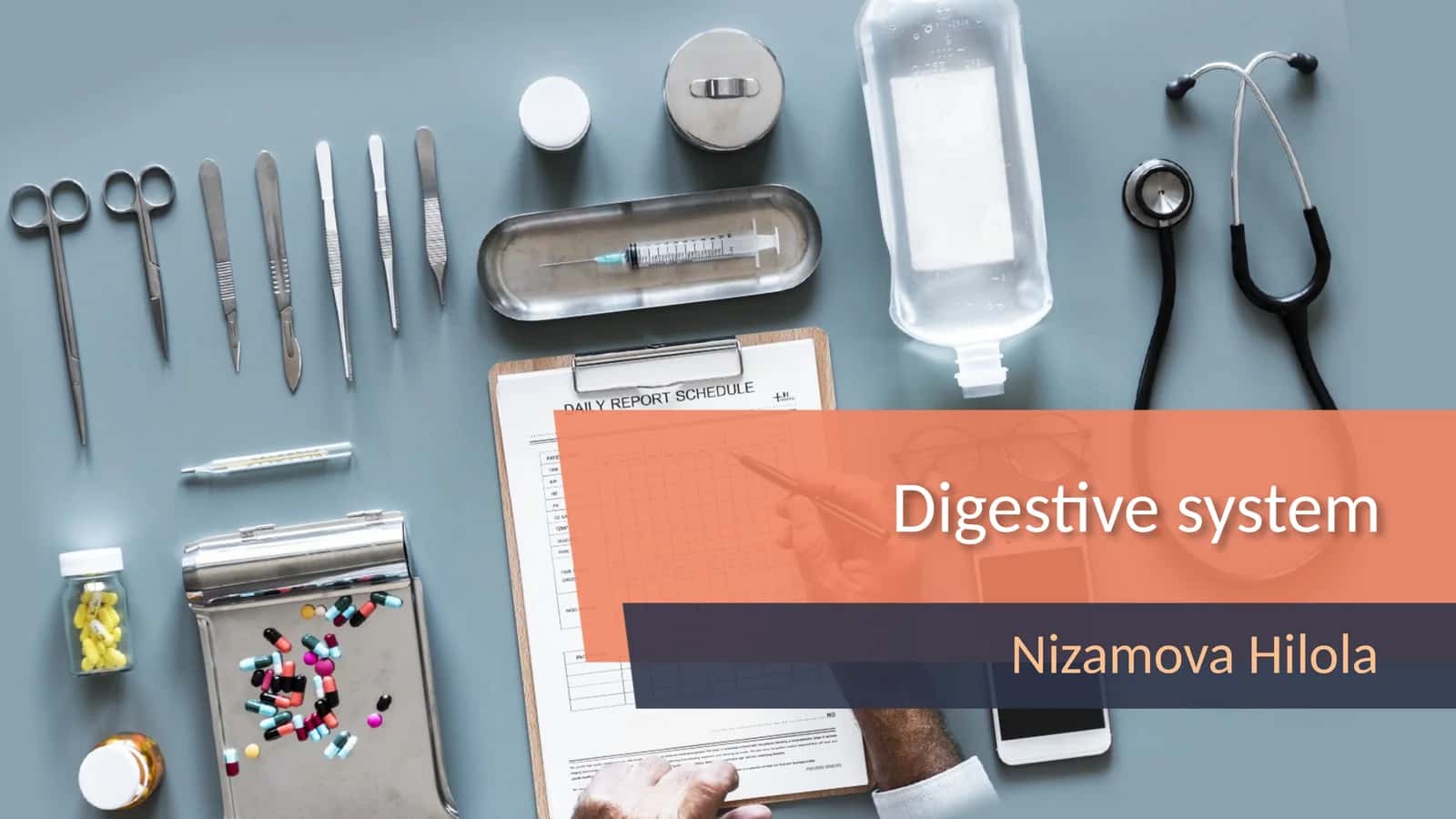 Digestive system 1