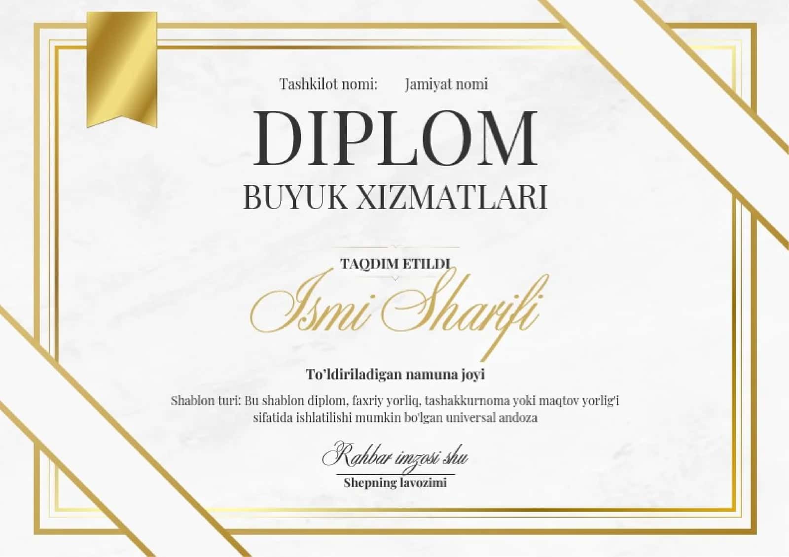 DIPLOM 1