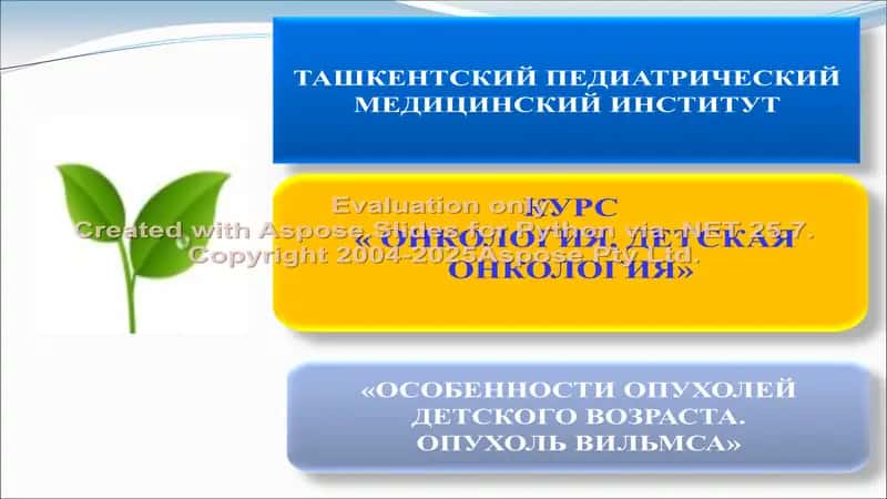 Опухоль Вильмса 1