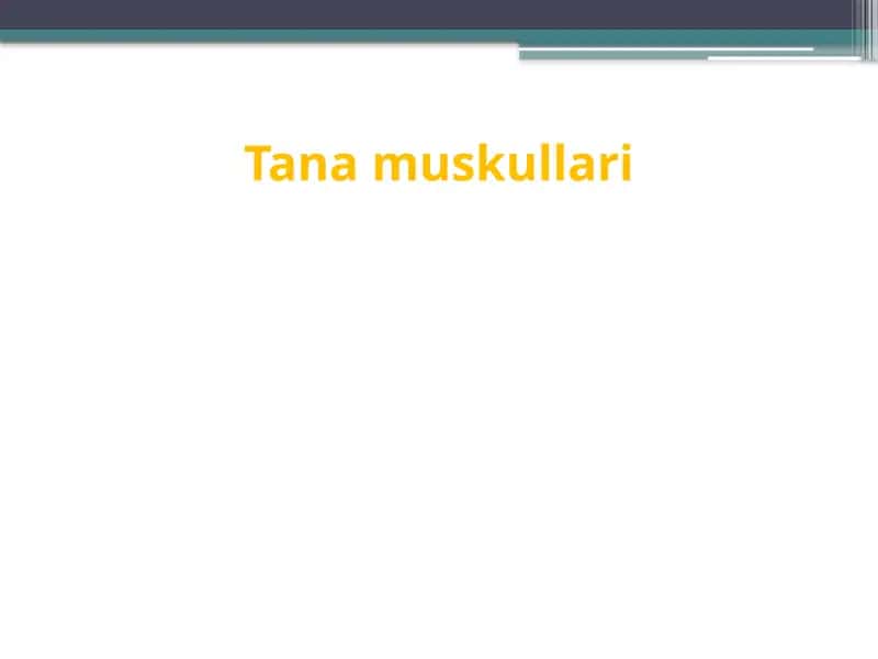 Tanamuskullari 1
