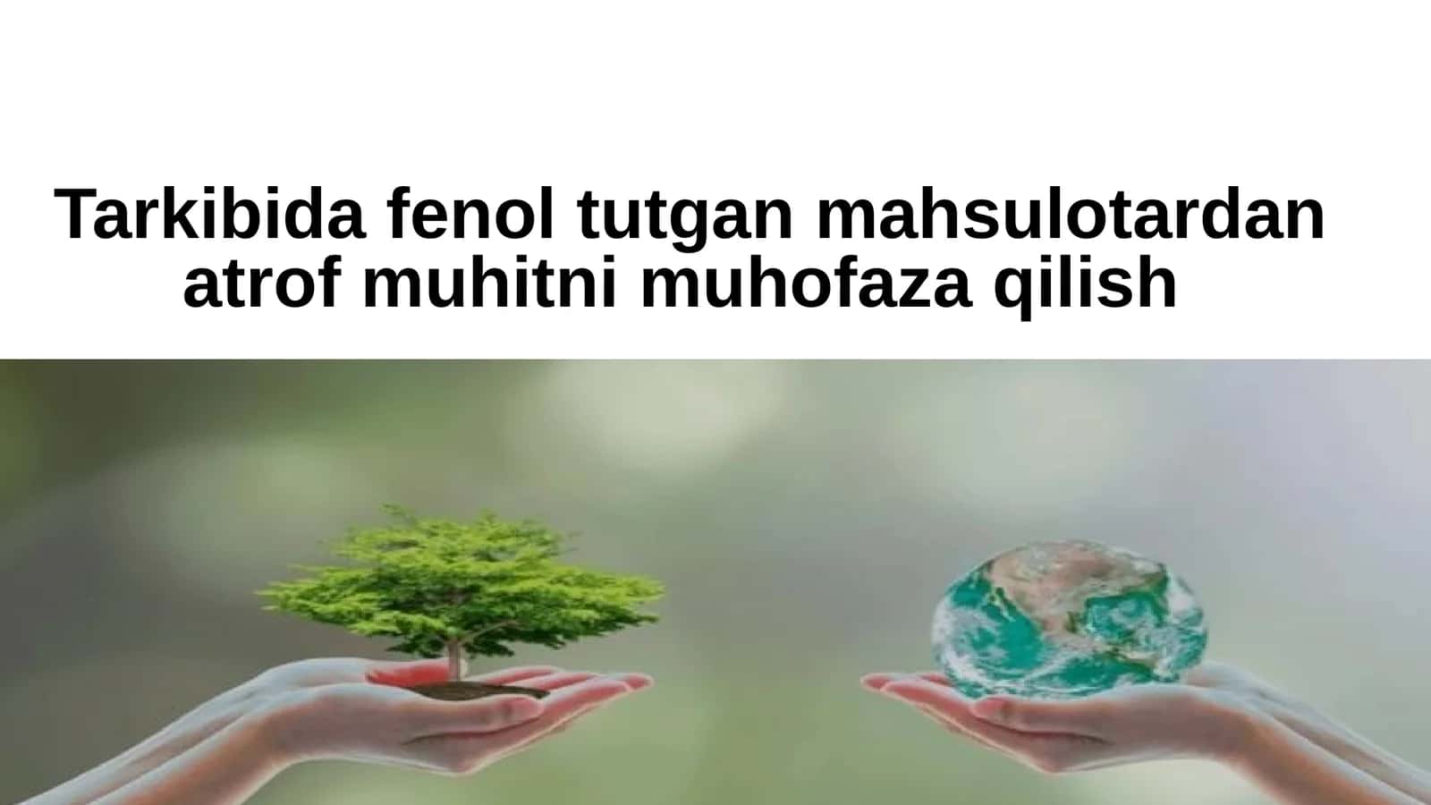 Fenol formulasi 1