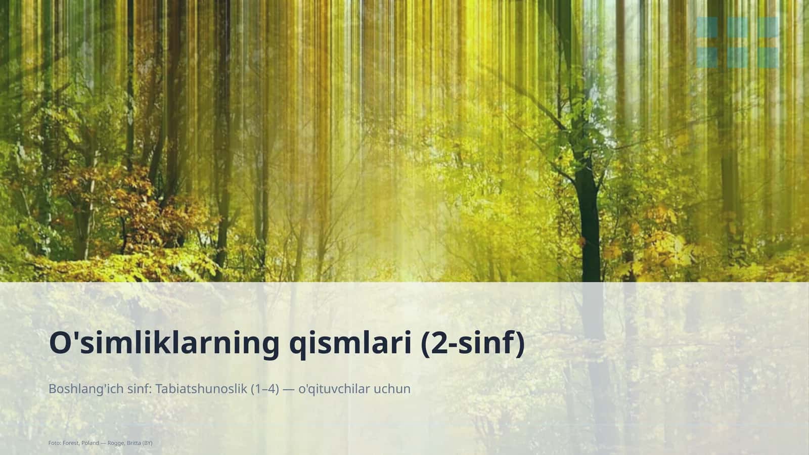 O'simliklarning qismlari (2-sinf) 1