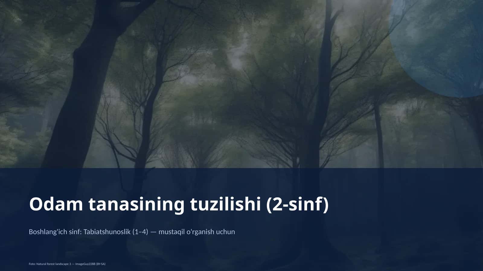 Odam tanasining tuzilishi (2-sinf) 1