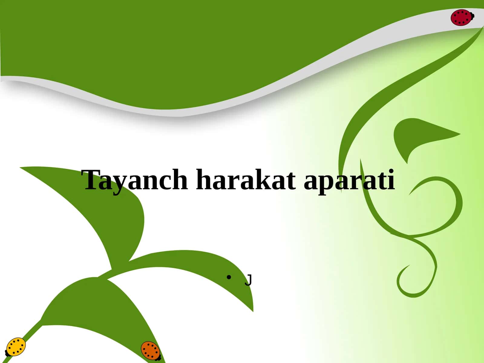 Tayanch harakat aparati 1
