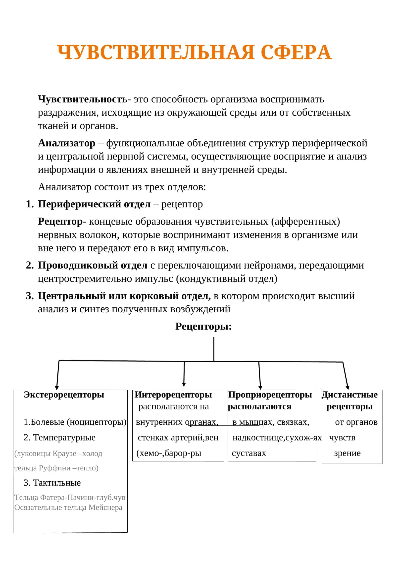 Чувствительная сфера 1