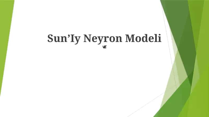 Sun'Iy Neyron Modeli 1