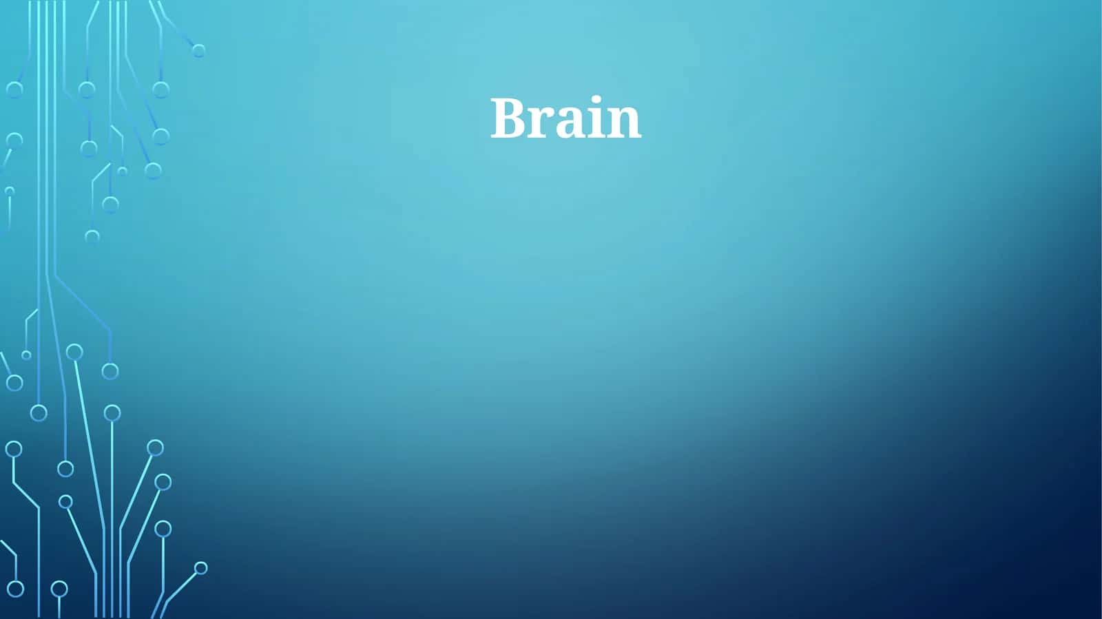 Brain 1