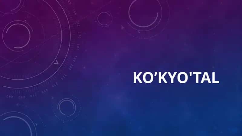 Ko’kyo'tal 1