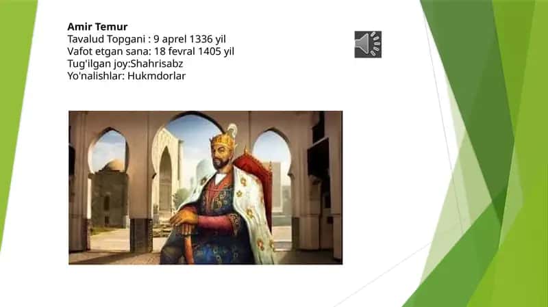 Amir Temur 1