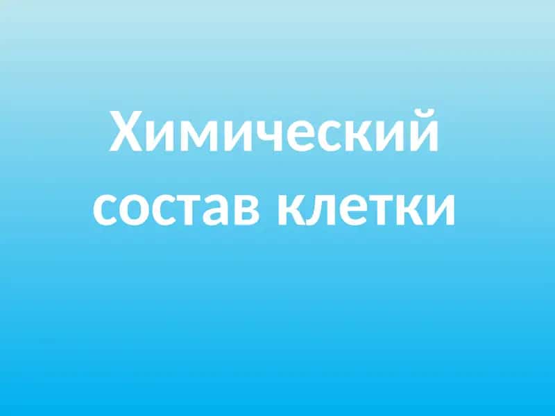 Химический состав клетки 1