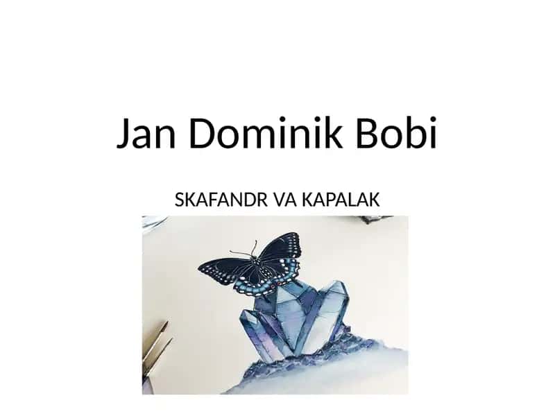 Jan-Dominik Bobi 1
