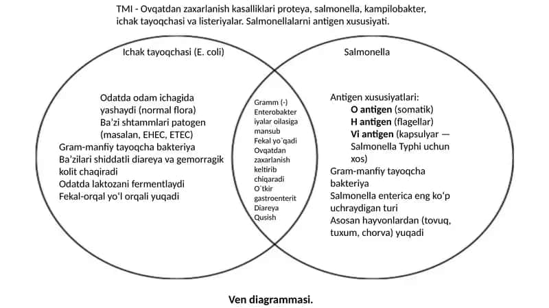 Salmonella 1
