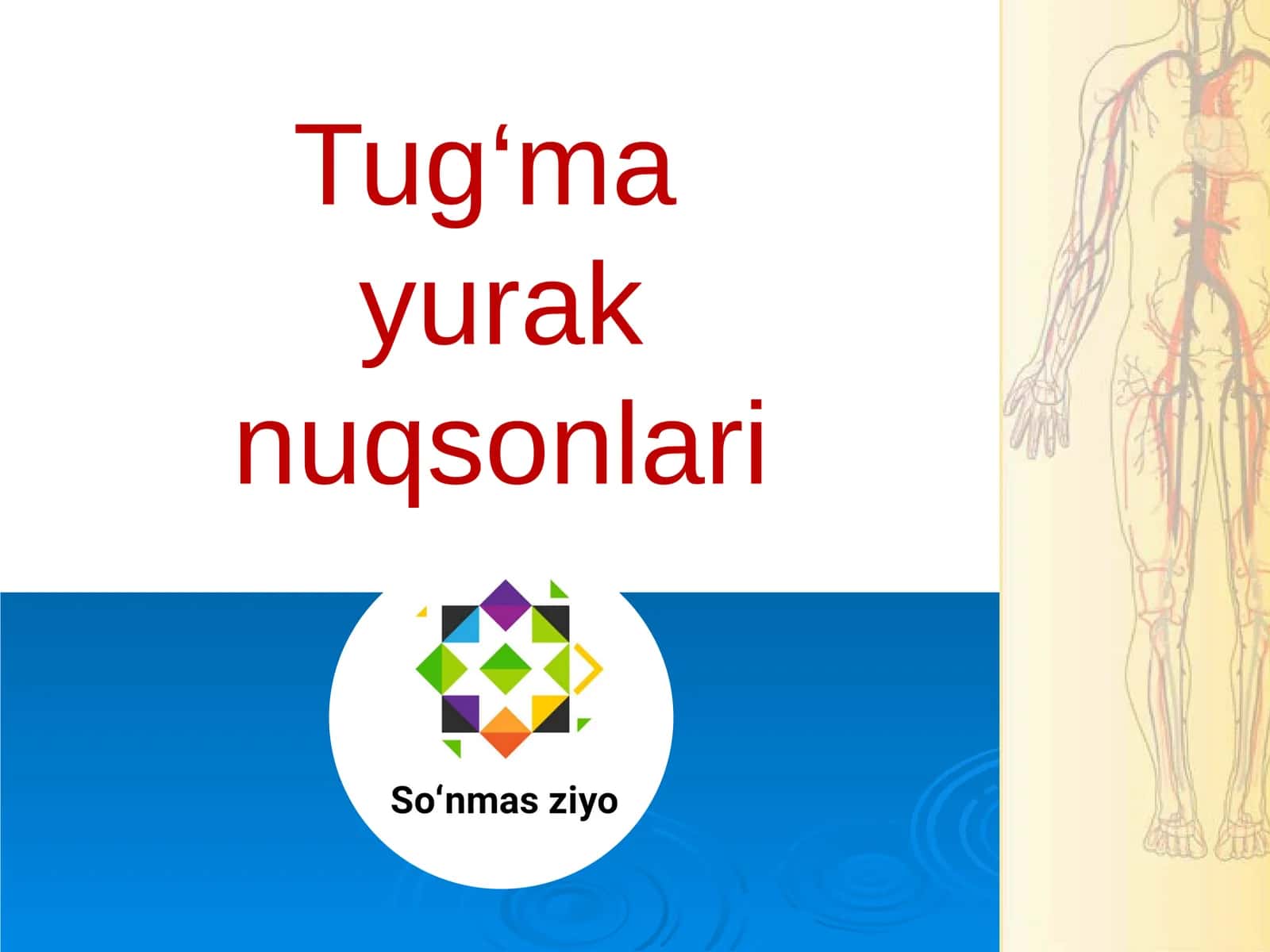 Tug‘ma yurak nuqsonlari 1