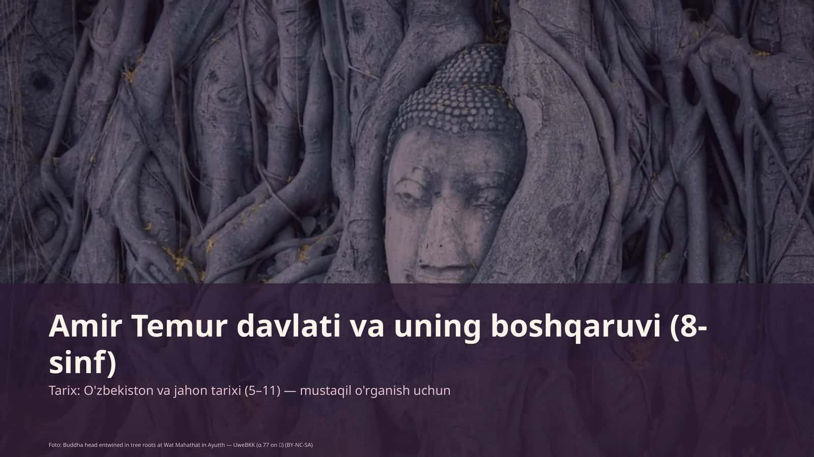 Amir Temur davlati va uning boshqaruvi (8-sinf) 1