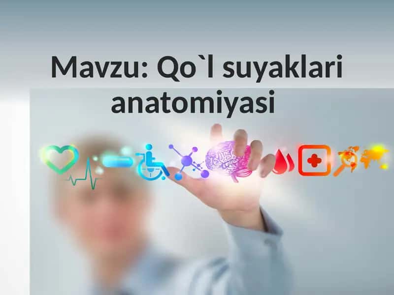 Qo`l suyaklari anatomiyasi 1