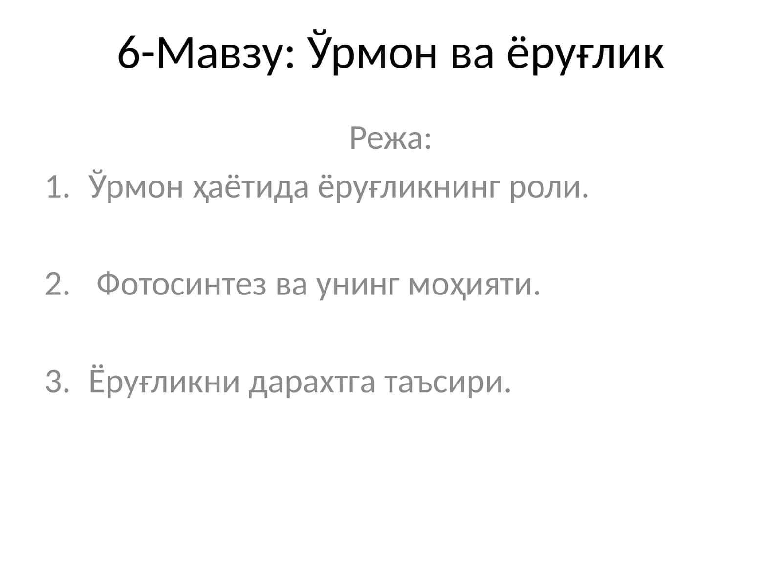 Ўрмон ва ёруғлик 1