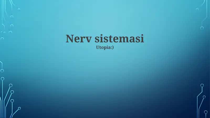 Nerv sistemasi 1