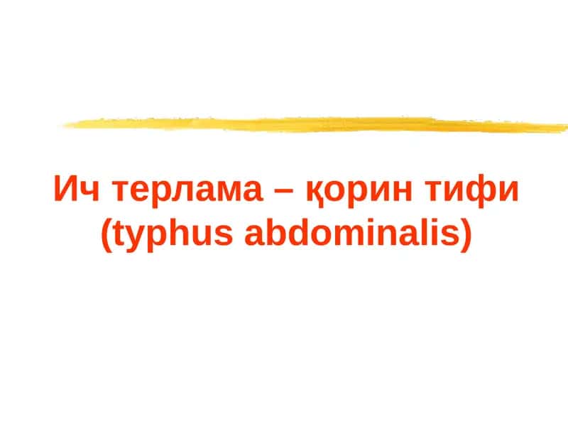 Ич терлама –қорин тифи (typhus abdominalis) 1