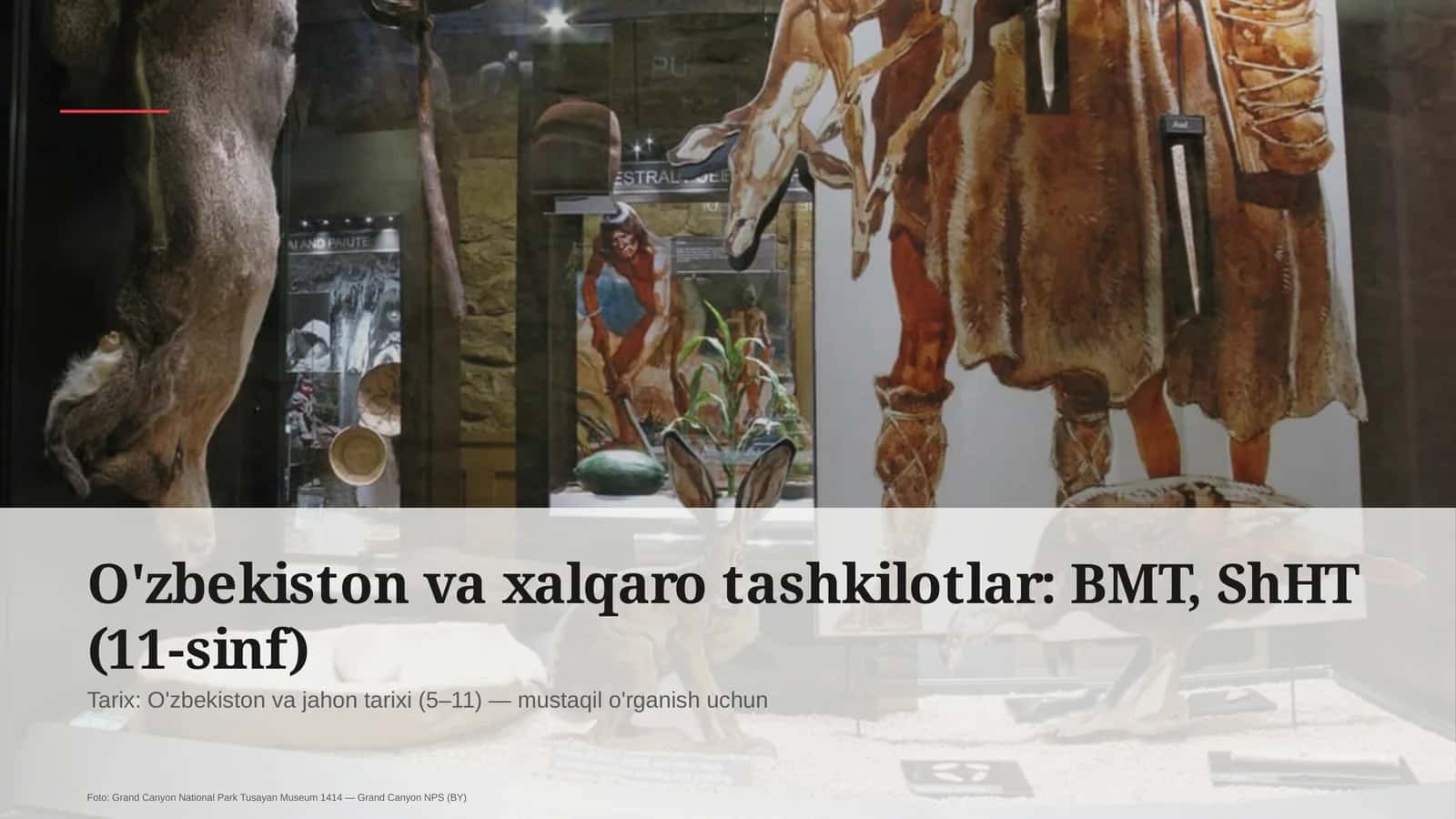 O'zbekiston va xalqaro tashkilotlar: BMT, ShHT (11-sinf) 1