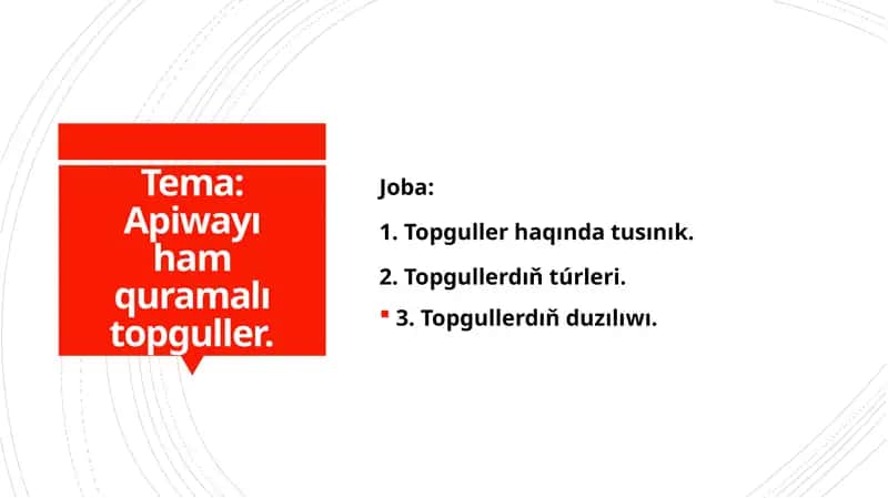 Apiwayı ham quramalı topguller 1