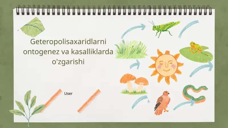 Geteropolisaxaridlarni ontogenez va kasalliklardagi oʻrni 1