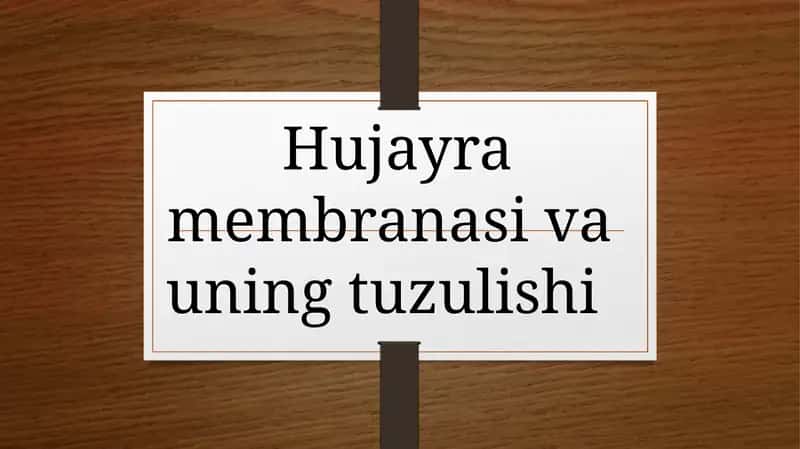 Hujayra membranasi va uning tuzulishi 1