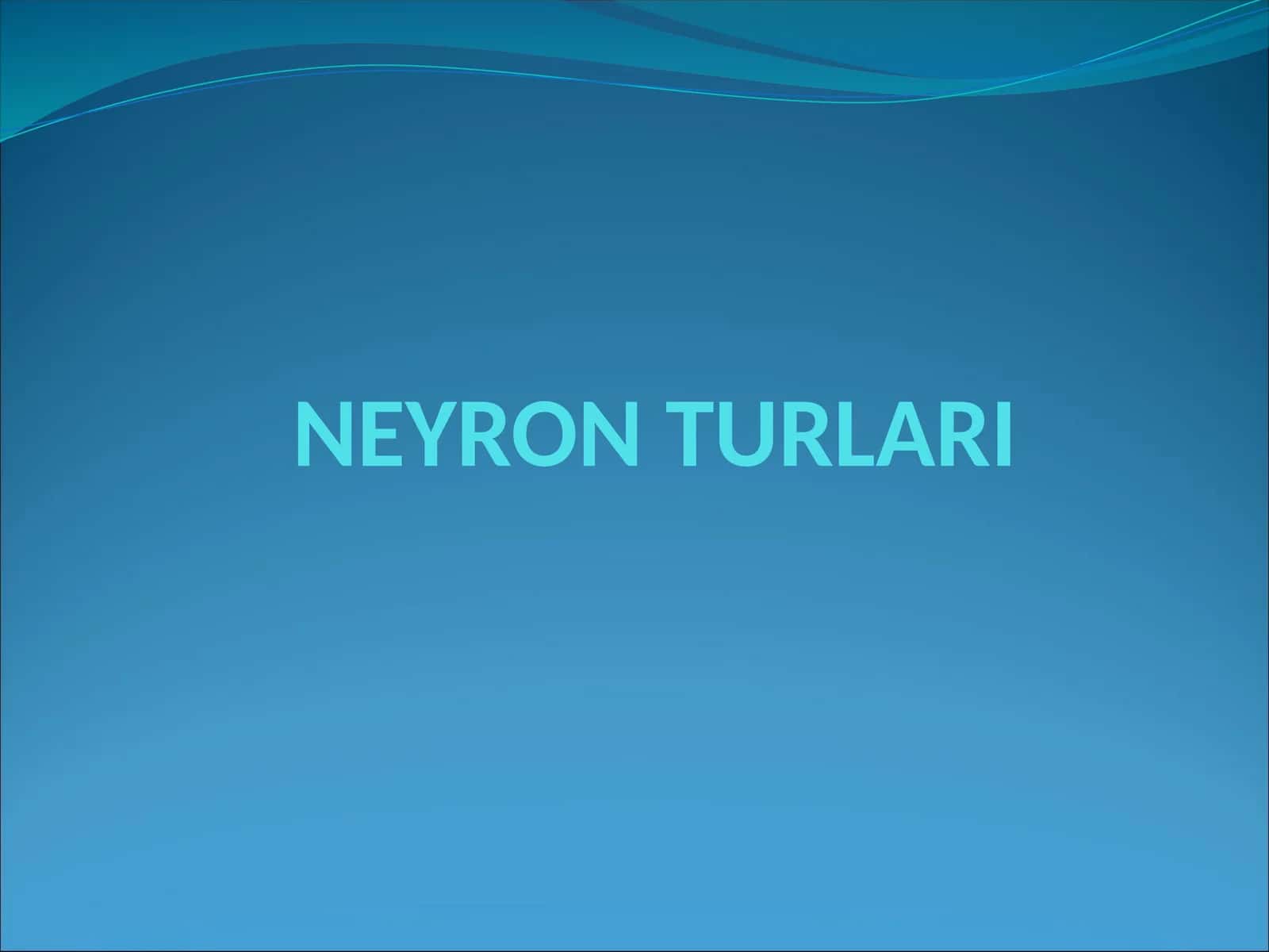 NEYRON TURLARI 1