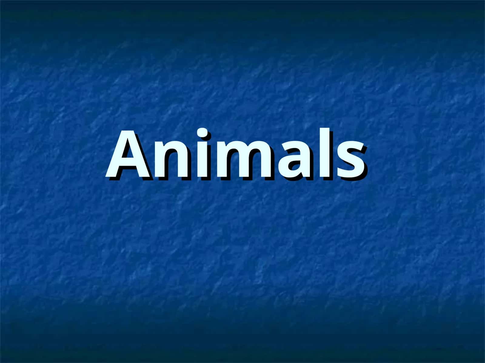 Animals 1
