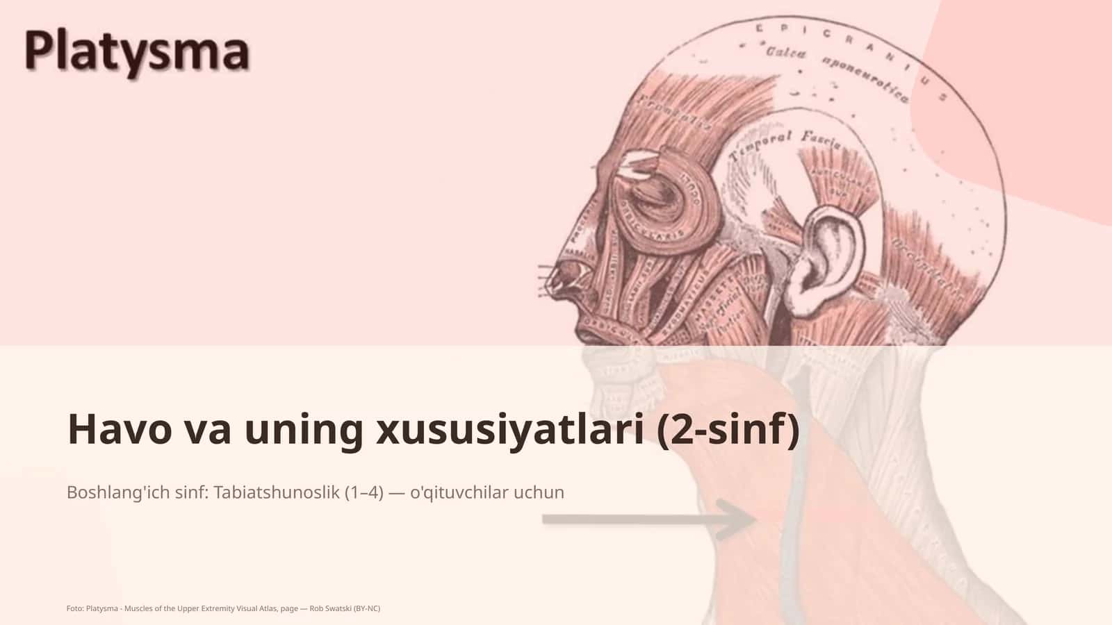 Havo va uning xususiyatlari (2-sinf) 1